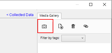 Se muestra el botón de cámara en la pestaña Galería de medios.